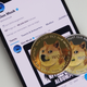 A phone with Elon Musk's Twitter account open with two gold dogecoin coins sitting on top of it.